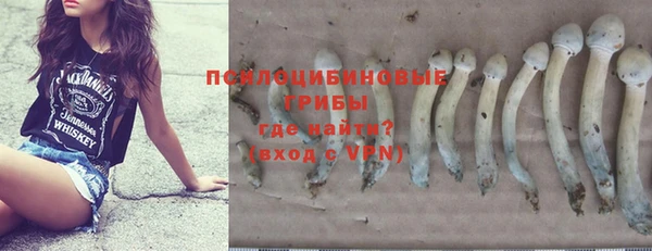 спайс Абаза