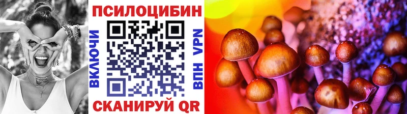 Галлюциногенные грибы мицелий  блэк спрут ТОР  Зерноград 